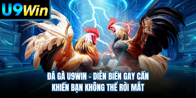 Đá Gà U9WIN - Diễn Biến Gay Cấn Khiến Bạn Không Thể Rời Mắt