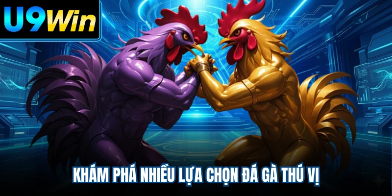 Khám phá nhiều lựa chọn đá gà thú vị