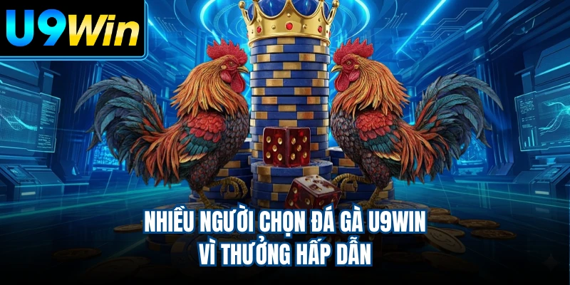 Nhiều người chọn đá gà U9WIN vì thưởng hấp dẫn